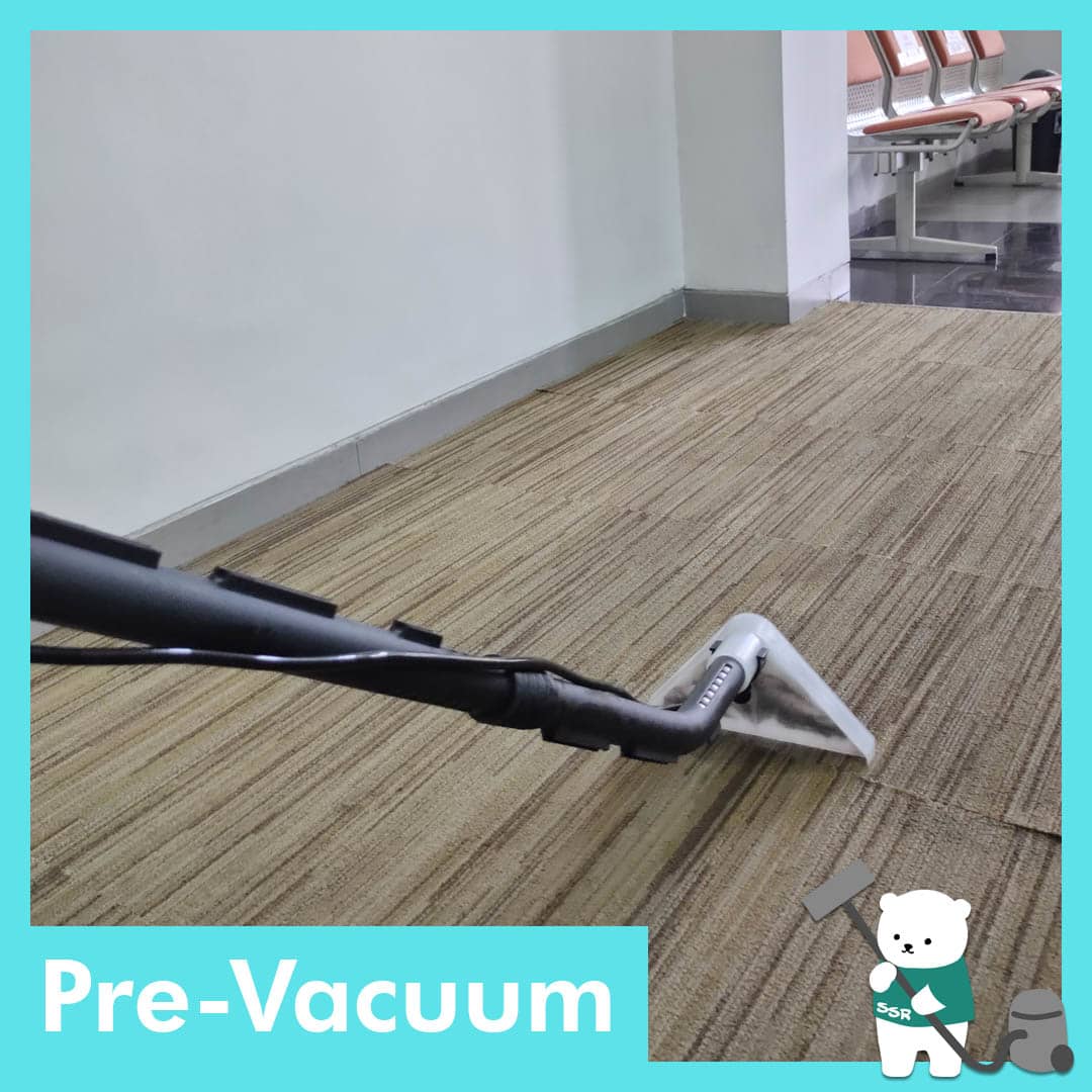 Pre-Vacuum Karpet